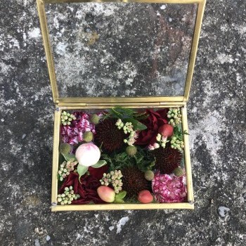 Flower Kamelia - oferta